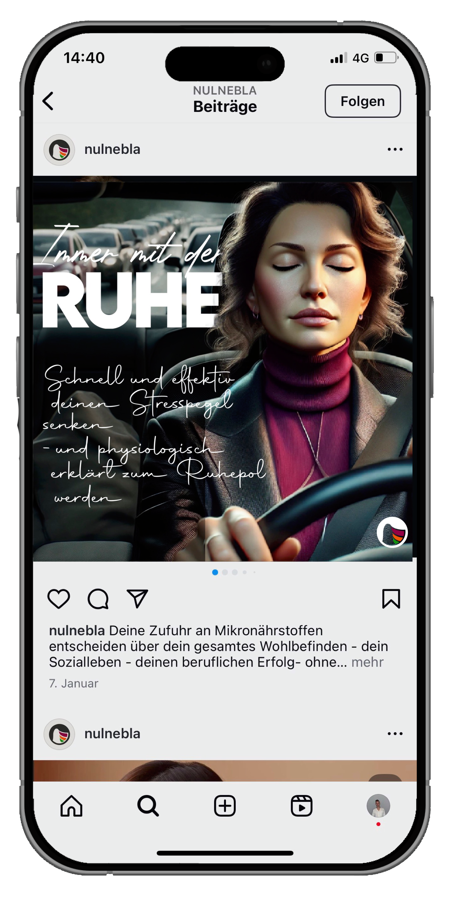 Beschreibung des Bildes