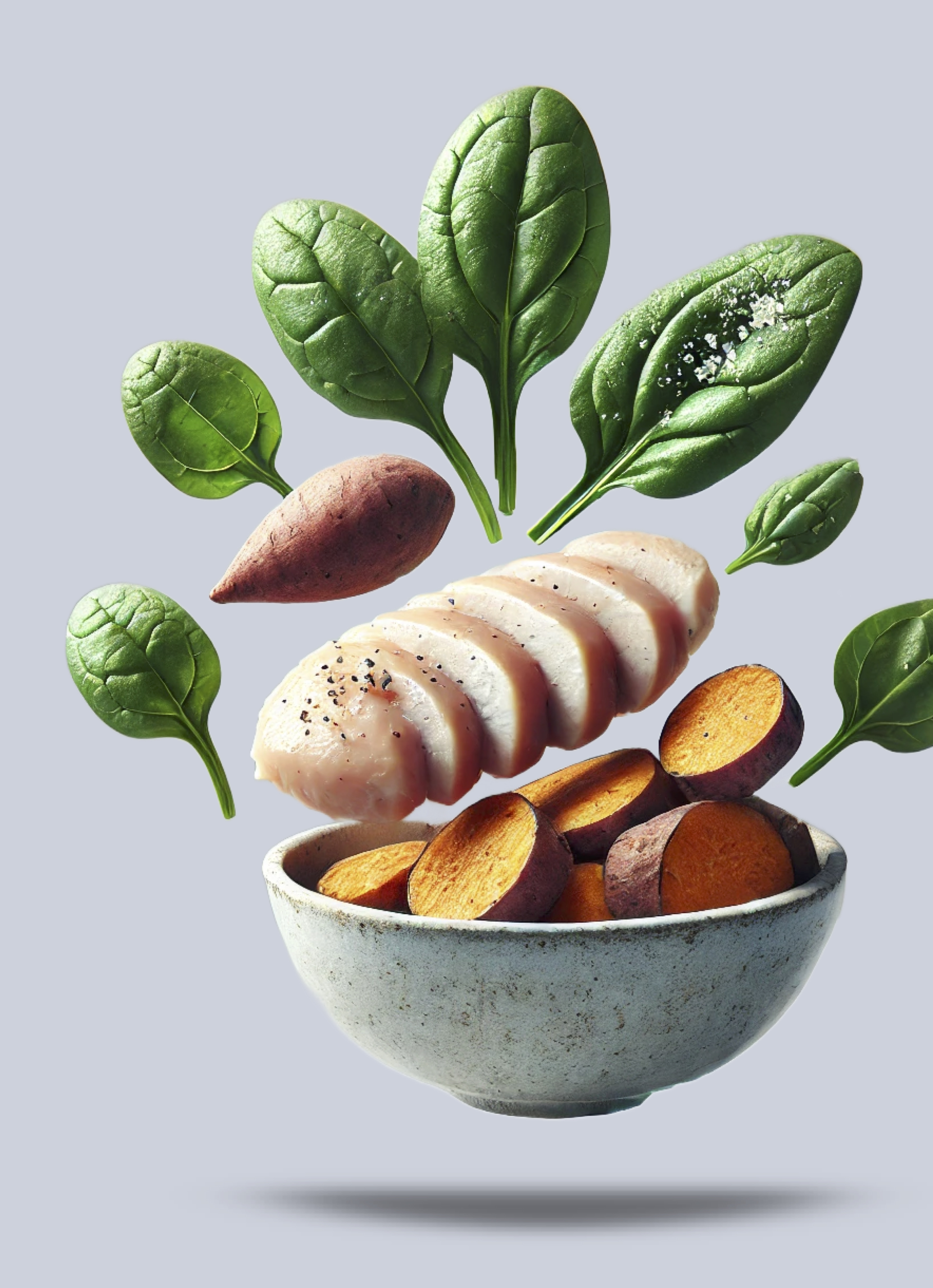 Beschreibung des Bildes